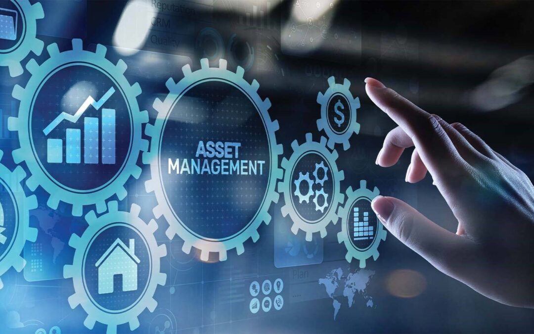 The ROI of Digital Asset Management: Calculating the Value for Your Business